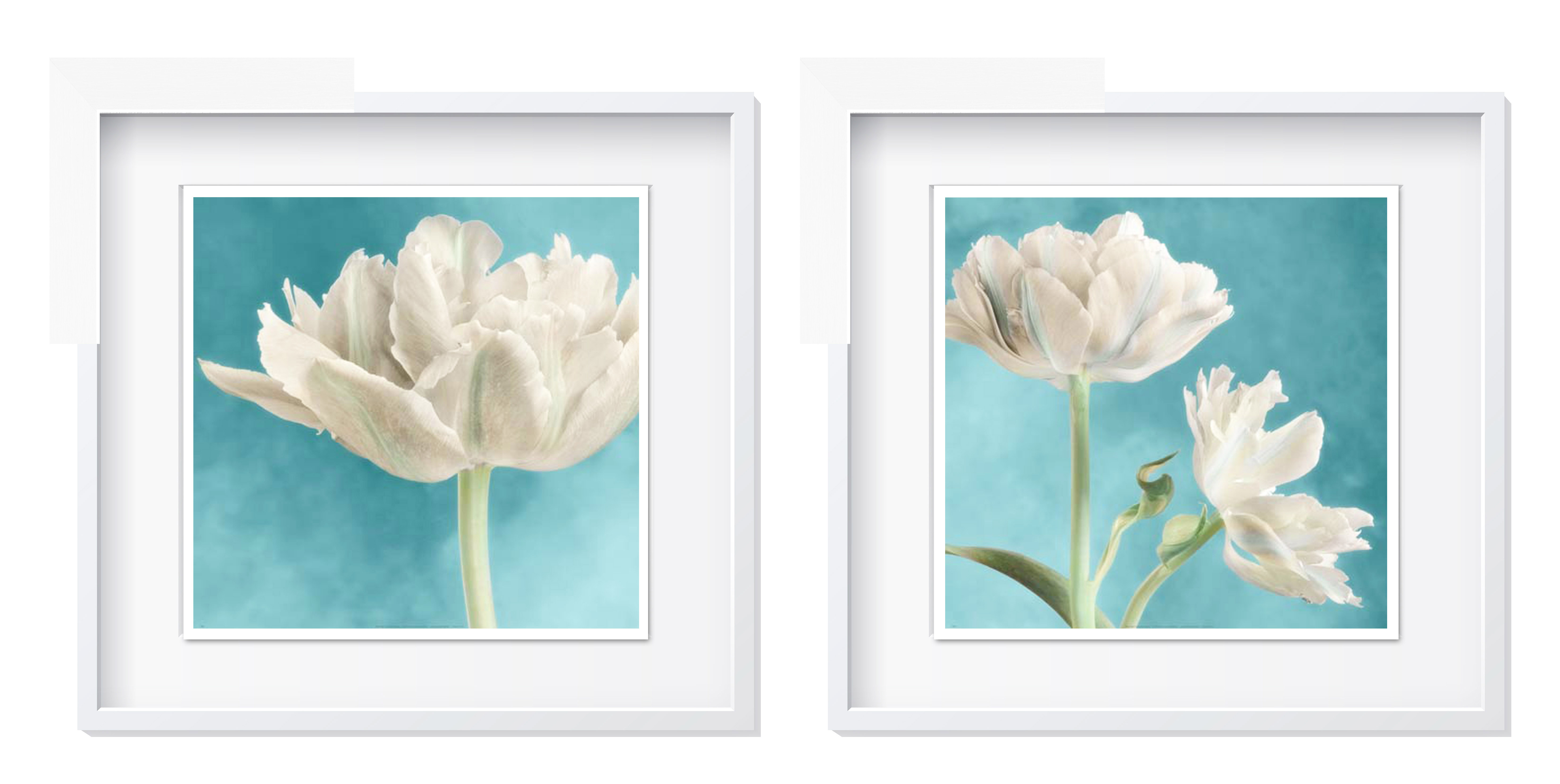 FP233 Wall décor art framed print set of 2 floral white frame